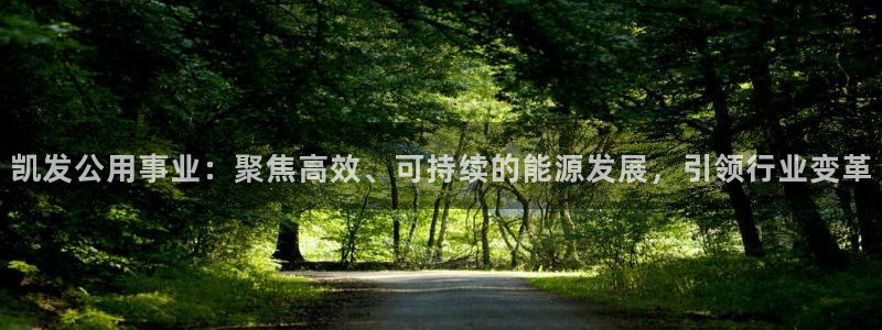 bbin视讯.ccmpc29官网版下载：凯发公用事业：聚焦高效、可持续的能源发展，引领行业变革