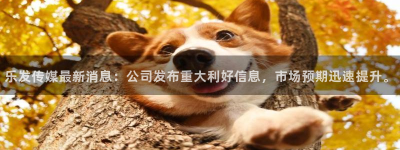 bbin视讯在线预测：乐发传媒最新消息：公司发布重大利好信息，市场预期迅速提升。