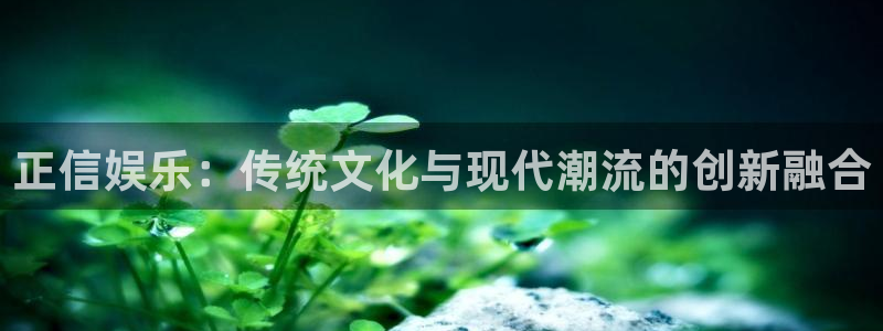 bbin视讯游戏官网入口：正信娱乐：传统文化与现代潮流的创新融合