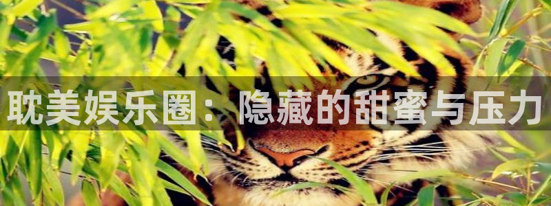 bbin视讯下载入口：耽美娱乐圈：隐藏的甜蜜与压力