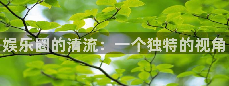 bbin视讯账号注册：娱乐圈的清流：一个独特的视角