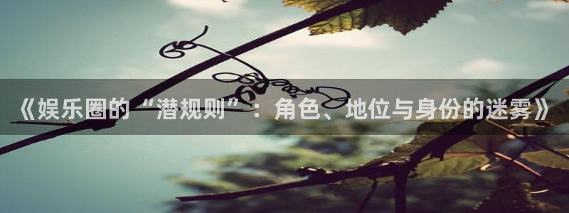 bbin视讯平台开户链接：《娱乐圈的“潜规则”：角色、地位与身份的迷雾》