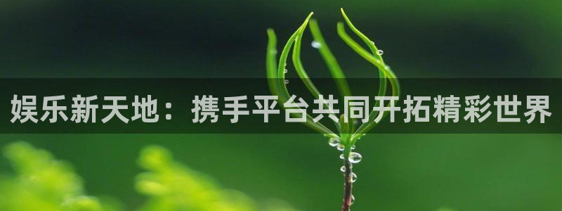 bbin视讯体育平台登录入口：娱乐新天地：携手平台共同开拓精彩世界