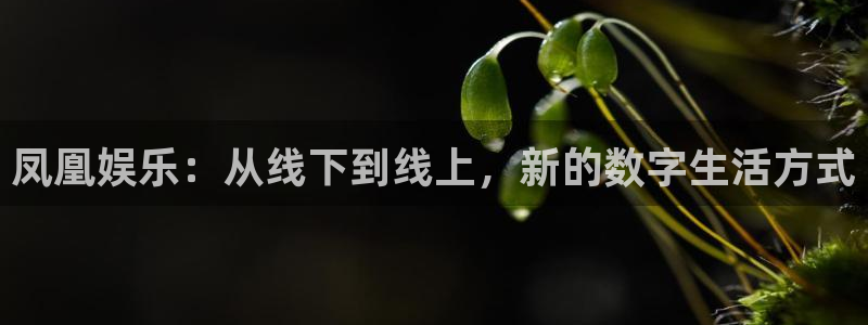 bbin视讯加拿大下载：凤凰娱乐：从线下到线上，新的数字生活方式