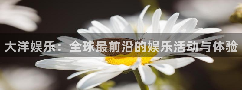 bbin视讯5注册：大洋娱乐：全球最前沿的娱乐活动与体验