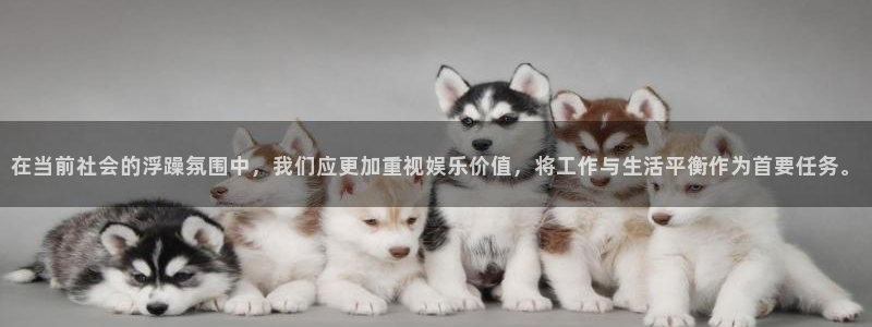 bbin视讯集团股票：在当前社会的浮躁氛围中，我们应更加重视娱乐价值，将工作与生活平衡作为首要任务。