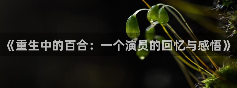 bbin视讯：《重生中的百合：一个演员的回忆与感悟》