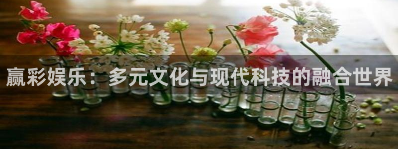 bbin视讯娱乐：赢彩娱乐：多元文化与现代科技的融合世界