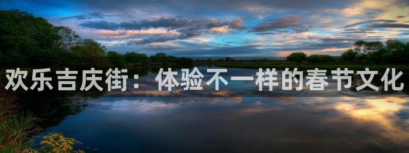 上海bbin视讯汽车电子有限公司：欢乐吉庆街：体验不一样的春节文化