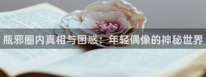 bbin视讯官网入口：瓶邪圈内真相与困惑：年轻偶像的神秘世界