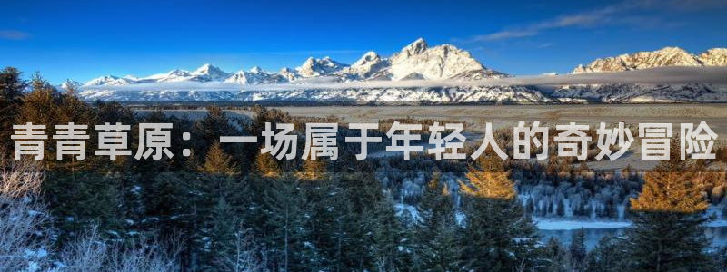 bbin视讯在线预测：青青草原：一场属于年轻人的奇妙冒险