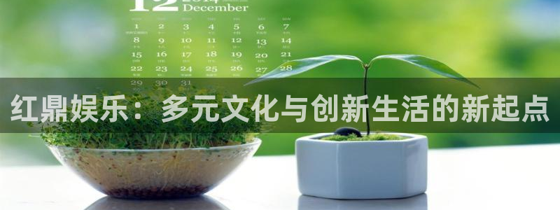 上海bbin视讯汽车电子有限公司：红鼎娱乐：多元文化与创新生活的新起点