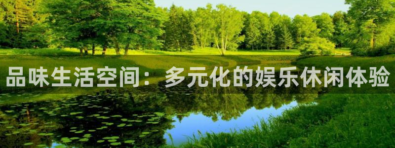 上海bbin视讯汽车电子有限公司：品味生活空间：多元化的娱乐休闲体验