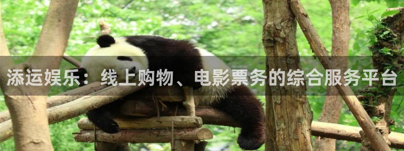 bbin视讯2代理注册：添运娱乐：线上购物、电影票务的综合服务平台