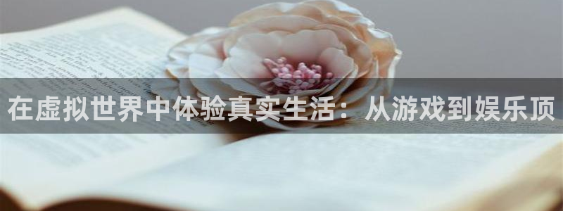 东莞市bbin视讯电子科技有限公司：在虚拟世界中体验真实生活：从游戏到娱乐顶