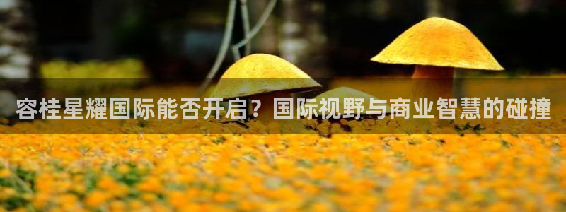 bbin视讯app下载：容桂星耀国际能否开启？国际视野与商业智慧的碰撞