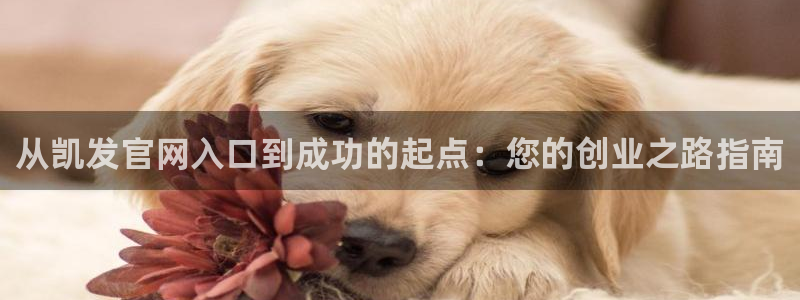 bbin视讯电子娱乐官网下载：从凯发官网入口到成功的起点：您的创业之路指南