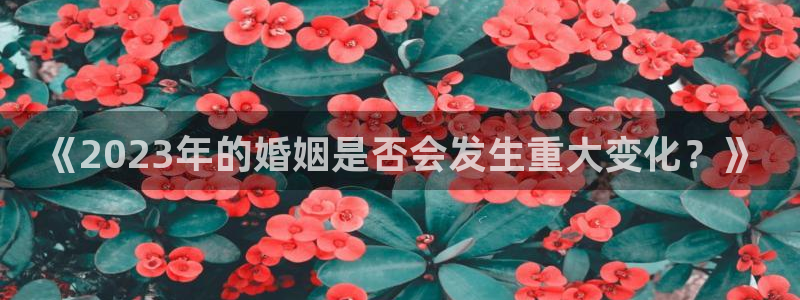 bbin视讯登录：《2023年的婚姻是否会发生重大变化？》