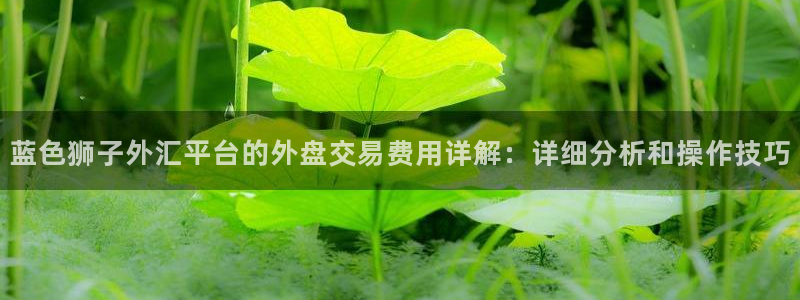 bbin视讯体育娱乐注册链接：蓝色狮子外汇平台的外盘交易费用详解：详细分析和操作技巧