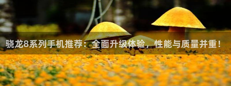 bbin视讯体育官网入口登录：骁龙8系列手机推荐：全面升级体验，性能与质量并重！