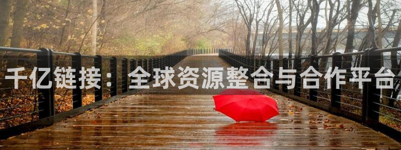 bbin视讯：千亿链接：全球资源整合与合作平台