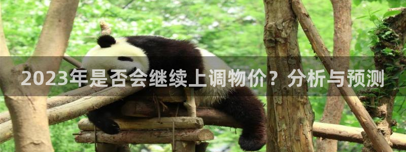 bbin视讯4登录：2023年是否会继续上调物价？分析与预测