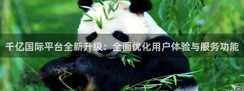 南宫bbin视讯官网版：千亿国际平台全新升级：全面优化用户体验与服务功能