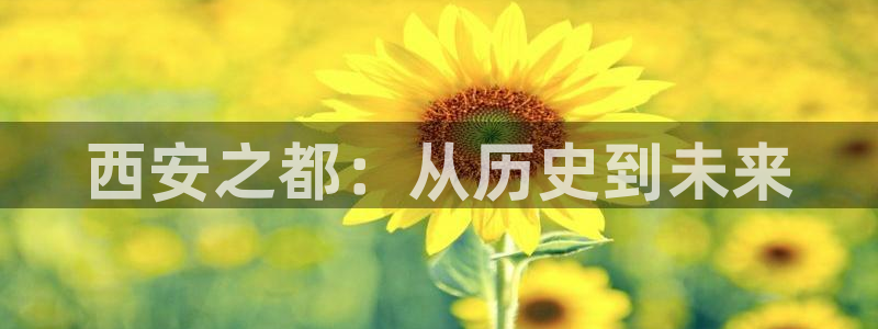 bbin视讯ccm赏金女王：西安之都：从历史到未来