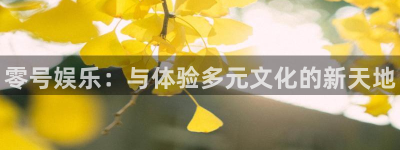 bbin视讯2注册：零号娱乐：与体验多元文化的新天地