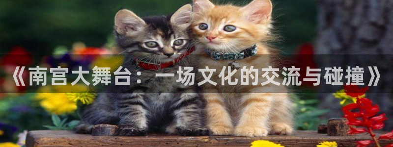 bbin视讯免费注册：《南宫大舞台：一场文化的交流与碰撞》