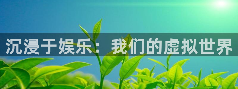 bbin视讯电子娱乐官网下载：沉浸于娱乐：我们的虚拟世界
