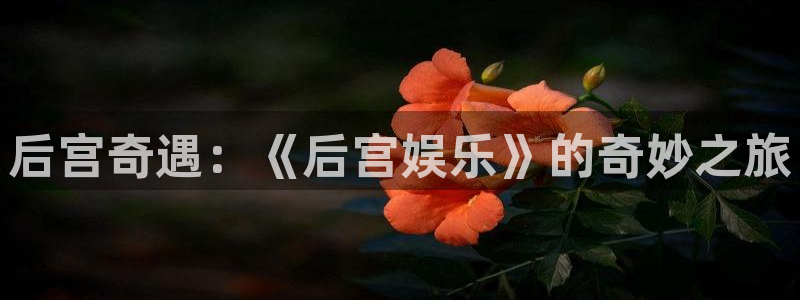 bbin视讯注册平台：后宫奇遇：《后宫娱乐》的奇妙之旅
