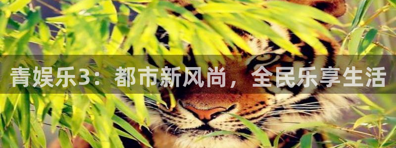 bbin视讯登录：青娱乐3：都市新风尚，全民乐享生活