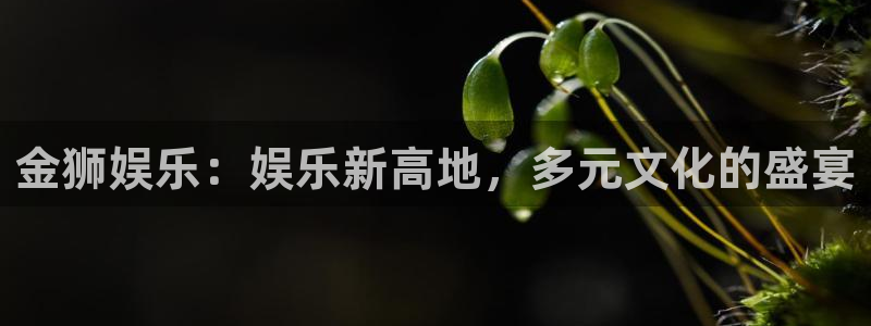 bbin视讯：金狮娱乐：娱乐新高地，多元文化的盛宴