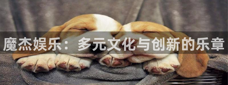 bbin视讯体育网页版入口：魔杰娱乐：多元文化与创新的乐章