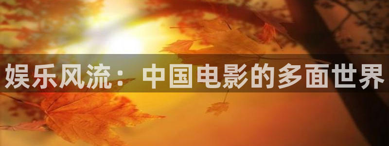 bbin视讯4平台：娱乐风流：中国电影的多面世界