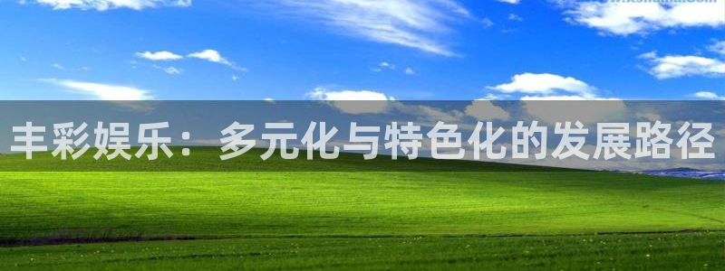 bbin视讯登录网：丰彩娱乐：多元化与特色化的发展路径