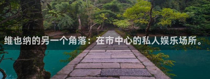bbin视讯登陆：维也纳的另一个角落：在市中心的私人娱乐场所。
