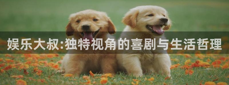 bbin视讯体育在线注册：娱乐大叔:独特视角的喜剧与生活哲理